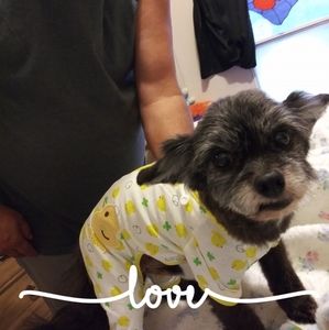 Meet your Posher, Peggy